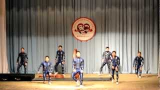 Прыжки через обручи / Jumping through hoops / 黑龙江马戏团