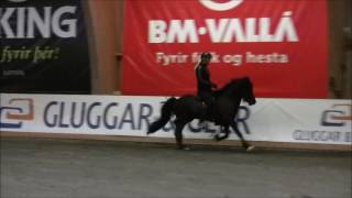 Þrumufleygur frá Álfhólum og Hrefna María