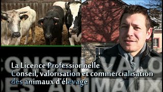 La licence Pro Productions animales