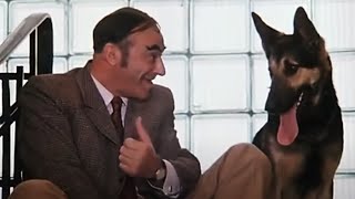 Все, что нажито непосильным трудом - как защитить свой бизнес?