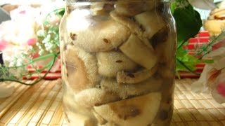 Маринованные волнушки. Консервирование грибов