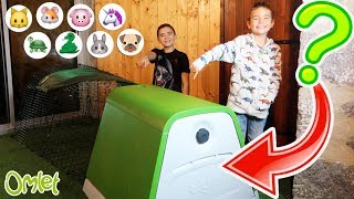 VLOG - ON ADOPTE UN NOUVEL ANIMAL - La famille s'agrandit ! ?