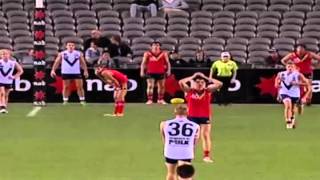 Tim Membrey Highlights