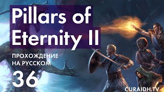 Прохождение Pillars of Eternity II Deadfire - 036 - Сокровищница Храма Ондры и Новое Задание Принца