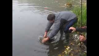 Carp Fishing. Ivano-Frankivsk