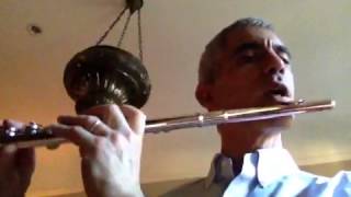 Gary Schocker talks about vibrato and gold vs silver