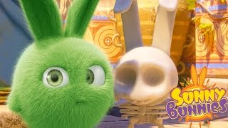 Cartoons for Children | Sunny Bunnies SUNNY BUNNIES MAGIC MAZE | Funny Cartoons For Children