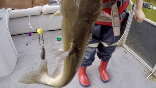 How to Catch BIG Catfish - Baits, Rigging, Cast Net Tutorial, and Location (ft. Catfish and Carp)