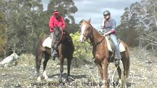 Trimming and Training the Barefoot Performance Horse 1