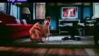 videozik com 70254 chien et chat dancent chaabi