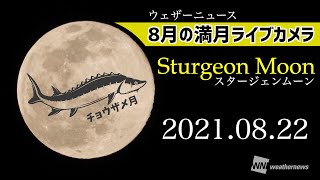【8月の満月ライブカメラ】スタージェンムーン／Sturgeon Moon