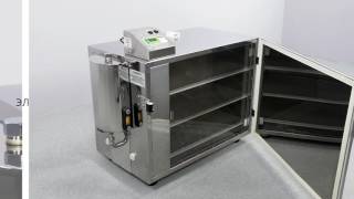 Queen incubator