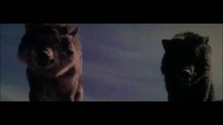 Alpha 2018 - Keda Attacked By Wolfs & Meets Alpha! NEW MOVIE CLIP