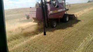 полесье-gs-812 уборка/ harvester