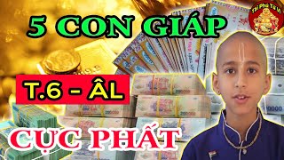 Thần Tài Báo Mộng 5 Con Giáp Giàu Có Hết Phần Thiên Hạ, Tiền Tiêu 3 Đời Không Hết Tháng 6 ÂL