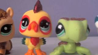 My Lps Collection!