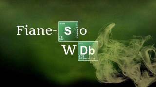 FIANE-SO - Wachti DB