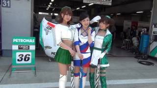 [HD] SUPER GT 2013 PETRONAS TOM'S RQ ペトロナス トムス レースクイーン (1)
