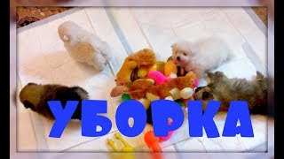 УБОРКА В ВОЛЬЕРЕ!!!
