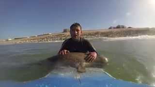 Rencontre avec le Phoque You Surf Lacanau