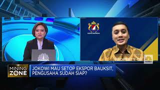 Pembiayaan Hingga Listrik Smelter, Tantangan RI Setop Ekspor Bijih Bauksit