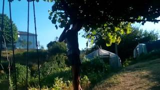 Epi4en proval za lovene na grozde bez race