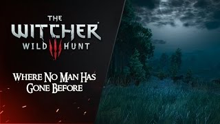 The Witcher 3: Extended OST - Where No Man Has Gone Before