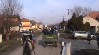 Pecinci, Badnji dan 2013