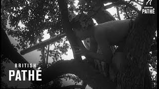 The Bare Facts (1958)