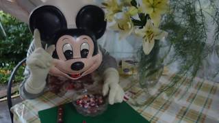 Леденцы. Карамель. caramel. candy canes. Ассорти с разными вкусами.  [ Микки Сладкоежка ]