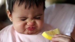 اجمل مقاطع مضحكة للاطفال ياكلون الليمون الحامض لأول مرة Funny Babies Eating Lemons 2016