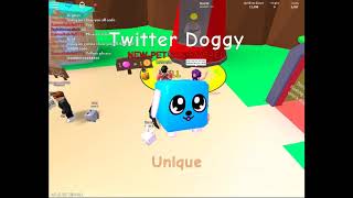 ALL *WORKING* CODES in BUBBLE GUM SIMULATOR! (Roblox)