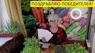 РОЗЫГРЫШ СЕМЯН СОСТОЯЛСЯ! 