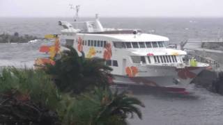カモメのレースクイーン！？　KAMOME The Big RACE / ATAMI-HATSUSHIMA