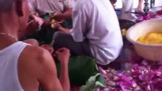 Ướp trà sen. -  Lotus to marinate pistil in vestigation
