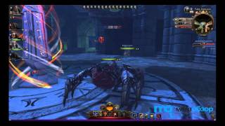 Neverwinter. Сет королевского стража