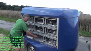 Taubentraining *PORADY *POMOC *HELP IN PIGEONS SPORT *breeding tips *conseils de reproduction