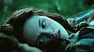 Twilight - Fall for You