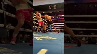 Bivol Punishes Canelo On The Ropes