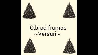 O,brad frumos! ~Versuri~