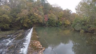 Fishing Beautiful Alabama Spillway (Tannehill Ironworks State Park)