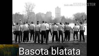 Basota