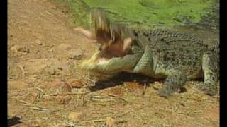 Killer Crocodiles, Hero Dog, African Lake Monster