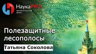 Полезащитные лесополосы: история, значение, современное состояние - Татьяна Соколова