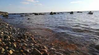 (короткое видео)YouTube Shorts: красивый вид , шум волны снятие стресса #Shorts