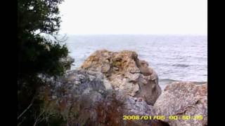 АРК Прикол просто прикол)))
