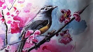 Как нарисовать птицу. Видеоурок для начинающих, как рисовать акварелью