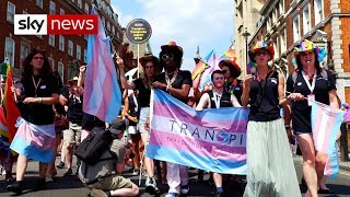 Line 18: The fight between trans and feminists