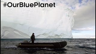 Explore Antarctica With A Top Expedition Leader #OurBluePlanet – BBC Earth