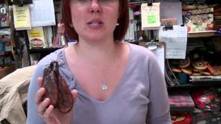 Beaver Balls in Lac La Ronge, Saskatchewan, Canada